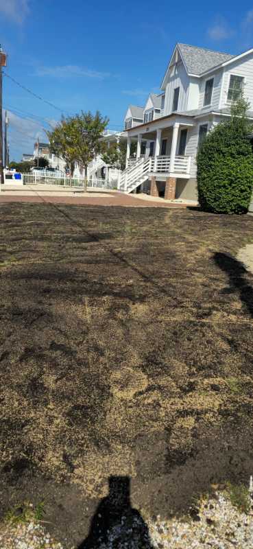 Sandoval Brothers Services LLC